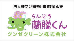 法人様向け贈答用胡蝶蘭販売 蘭贈（らんぞう）くん グンゼグリーン株式会社