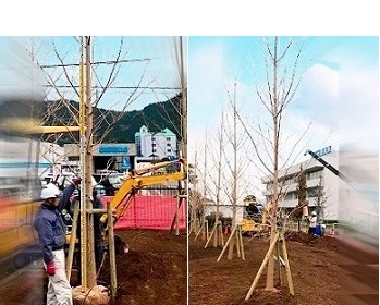現場